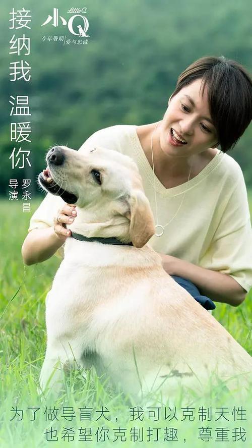 办假的萨里罗汉普顿大学文凭毕业证